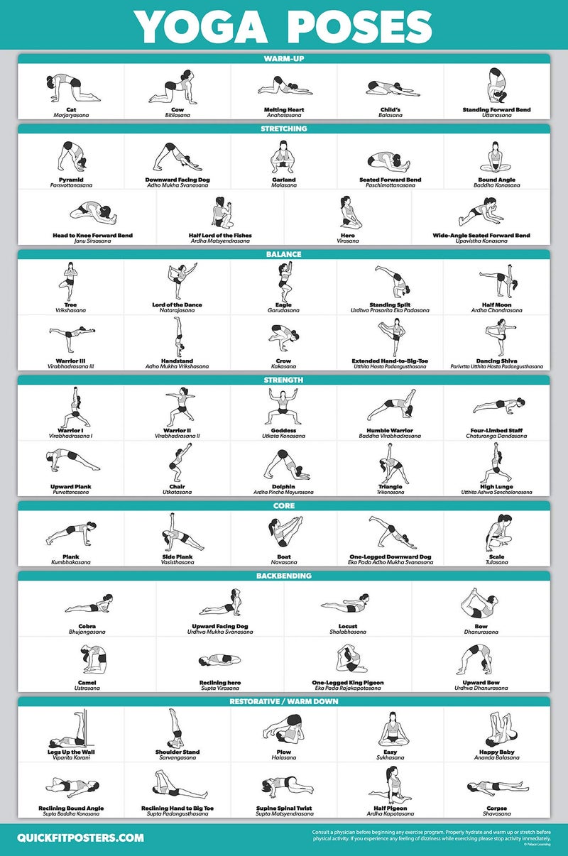 Palace Learning QuickFit Yoga Position Exercise Poster - Yoga Asana Poses Chart - Laminated, 18" x 24" - Image 1